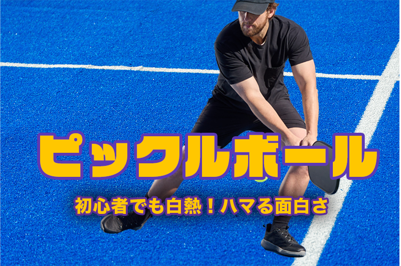 エンジョイピックルボールのイメージ画像